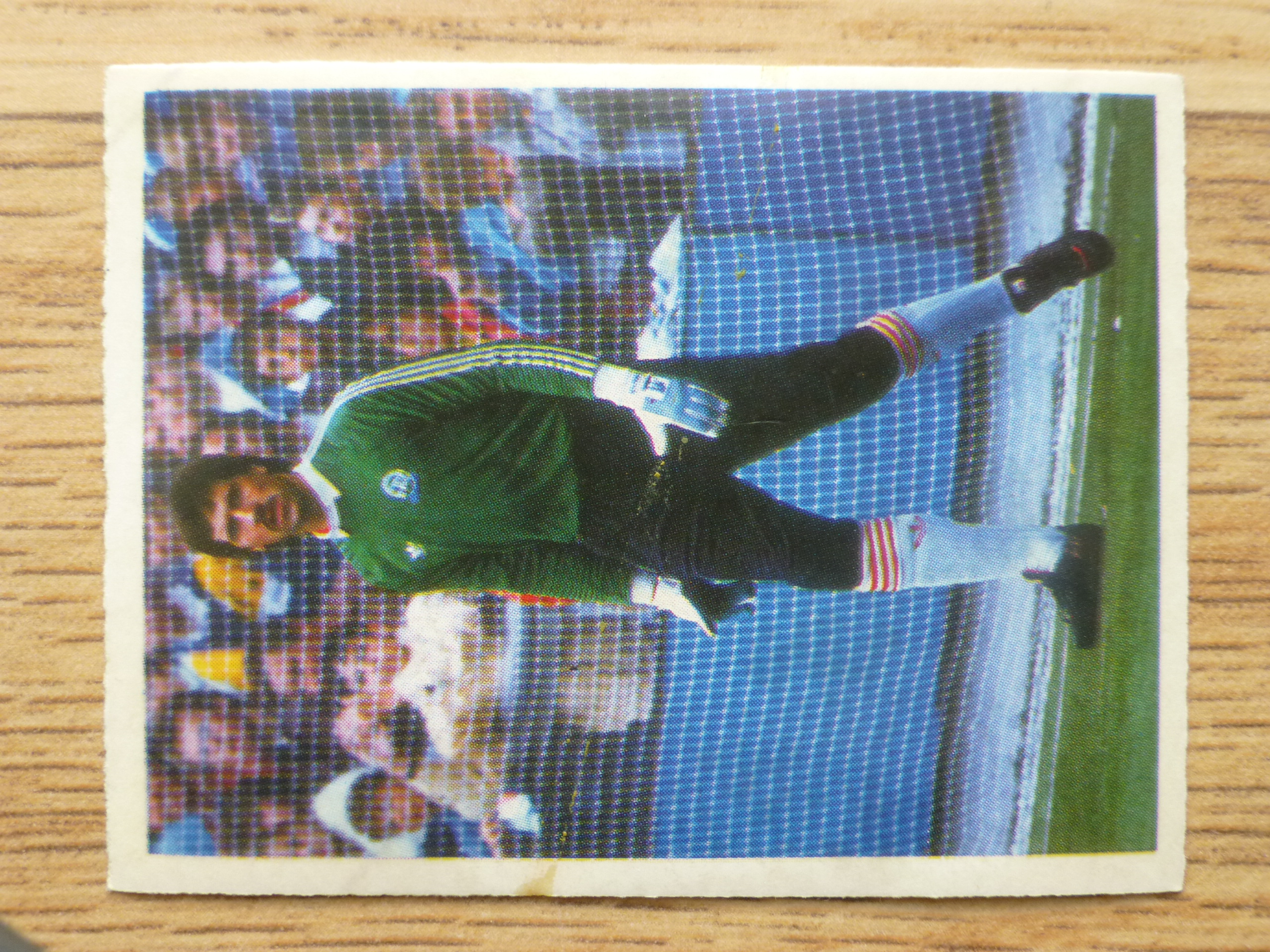 Mirror Stick With Soccer - David Seaman